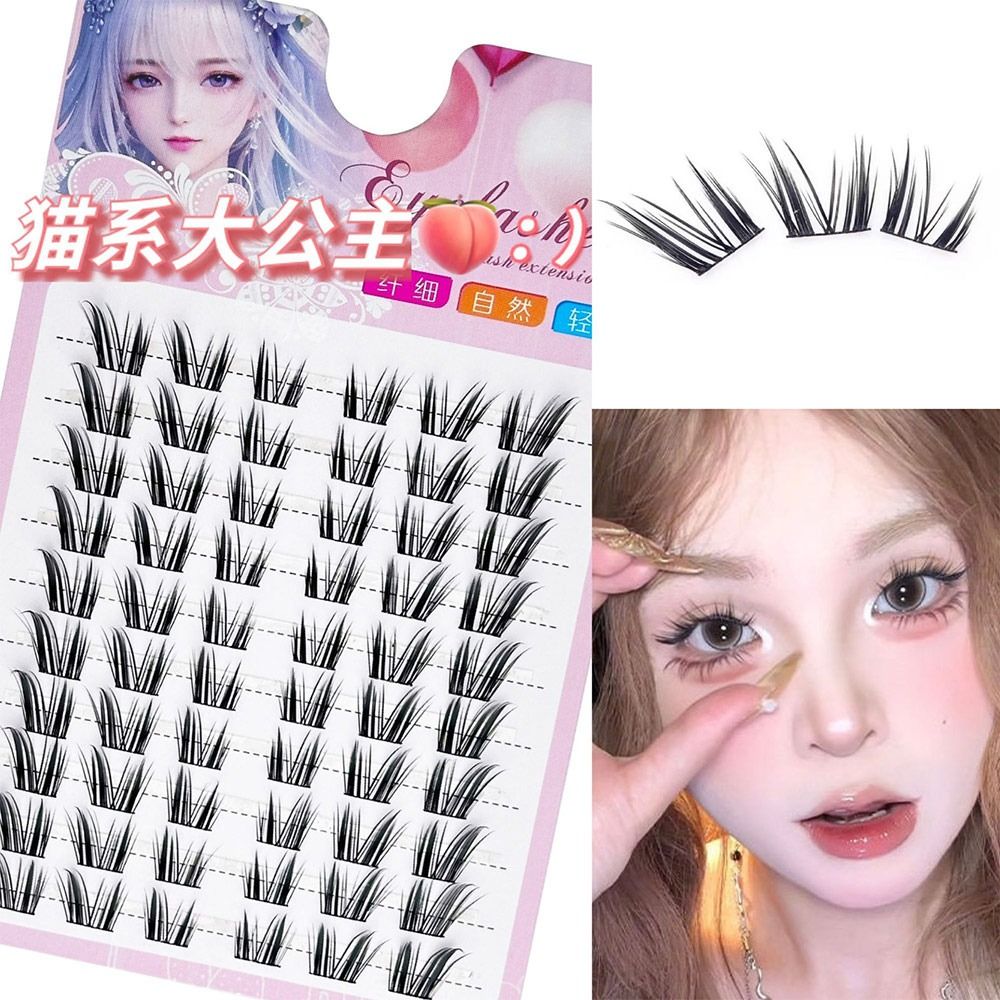 Herbruikbare Cat Eye Fairy Las - Eyelash Extension Wet Look recensie en prijs
