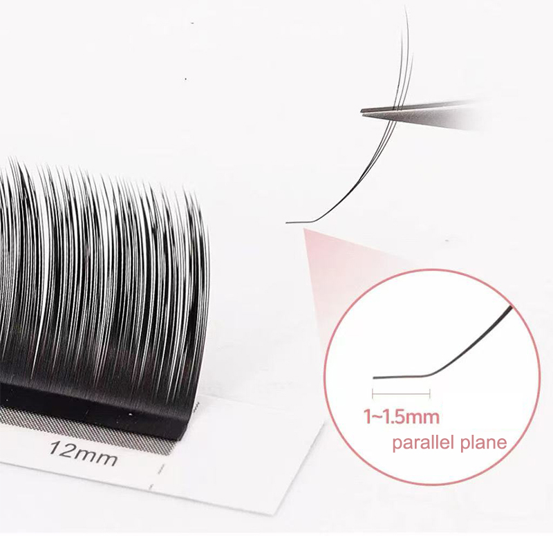 Dream Ballet Camellia Lashes m - Eyelash Extension Volume recensie en prijs
